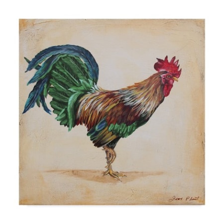 Jean Plout 'Green Feather Rooster' Canvas Art,14x14